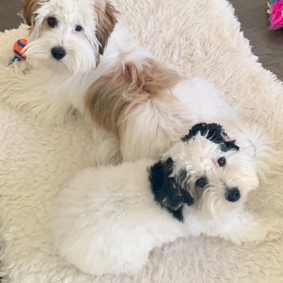 โค๏ธ Hi! Please LIKE โค๏ธ to be notified about JAEL's shows, Thank you  ๐ฅฐ - Picture 3 of 15